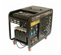 DW300